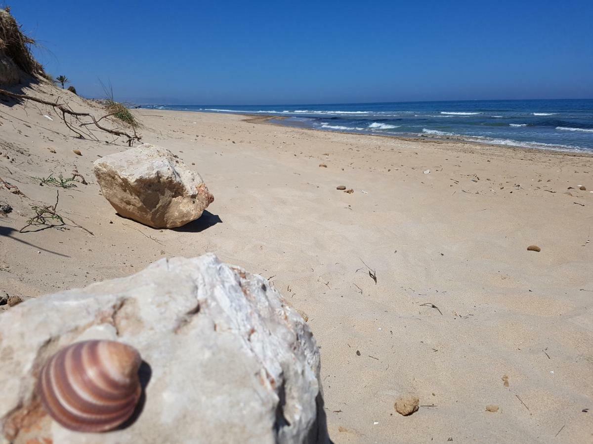 Ferienvermietung David El Verger Bagian luar foto